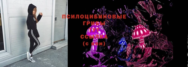 стафф Алзамай
