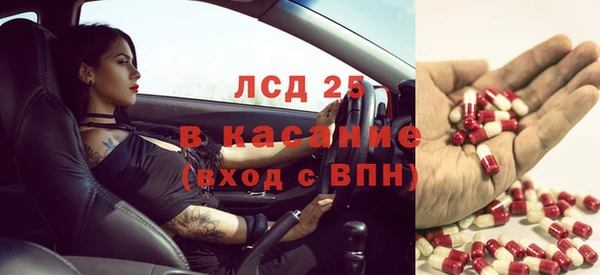 стафф Алзамай