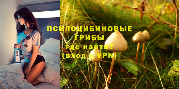 стафф Алзамай