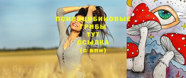 стафф Алзамай