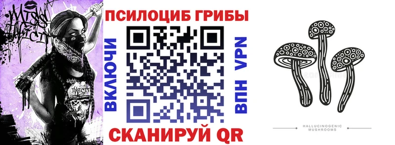Псилоцибиновые грибы мицелий  цены   Солнечногорск 